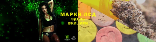 твердый Аркадак
