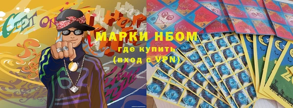 твердый Аркадак