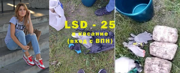 твердый Аркадак